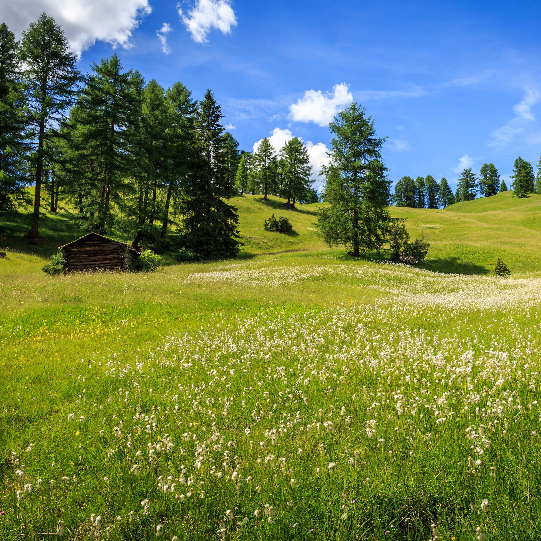 Progetti sostenibili - MMH