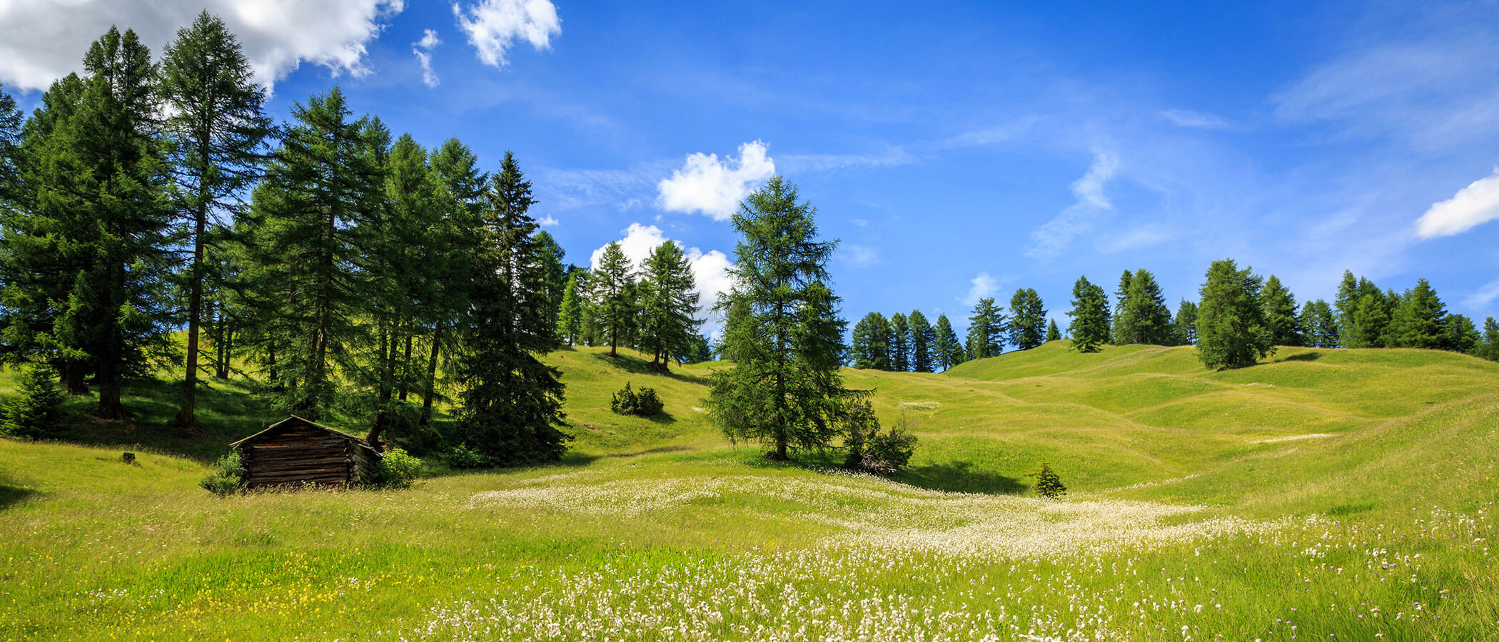 Progetti sostenibili - MMH